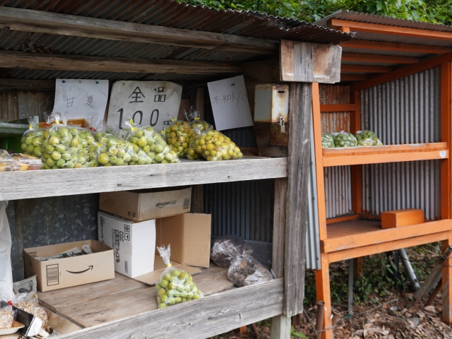 【農地転用】農用地区域内農地（青地）に農作物の販売施設は設置できるか？