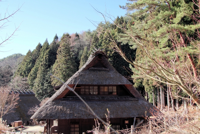 【農地転用】山林を宅地にしたい！農地転用は必要？